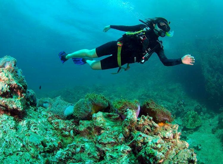 scuba diving