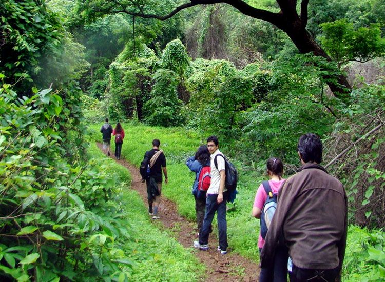 trekking in andman