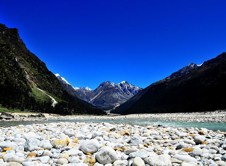 Yumthang Valley - one of the best places in the Himalayas for summer vacations in India