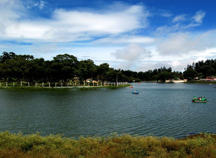 Visit Yercaud in Summer