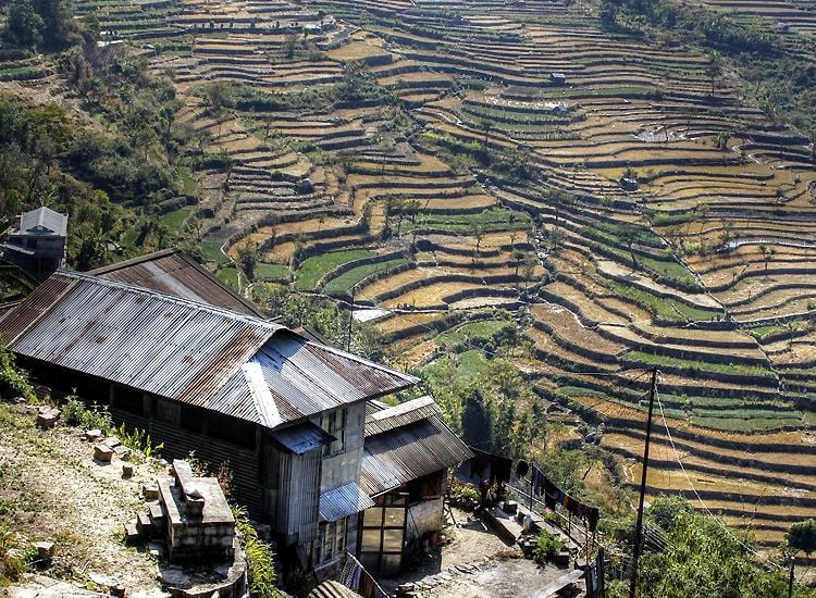 Nagaland