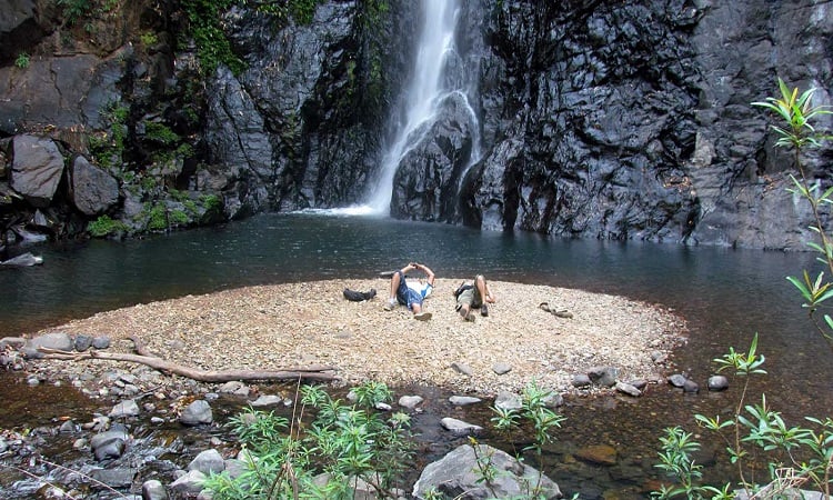 The Bhagwan Mahavir Wildlife Sanctuary