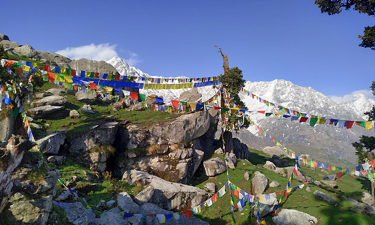 Triund Top in Mcleodganj