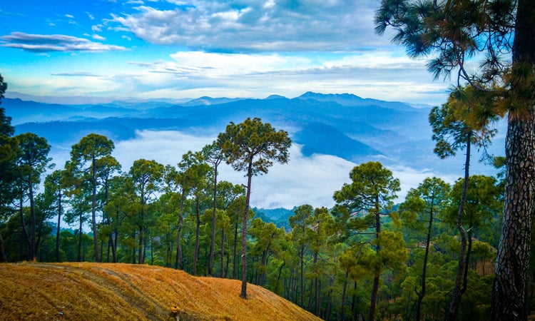 Ranikhet, Uttarakhand