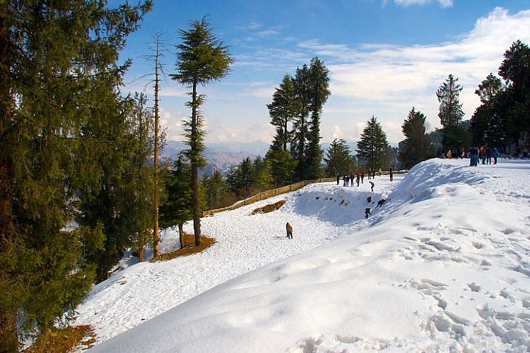 Kufri: Romantic Hill Stations near Delhi