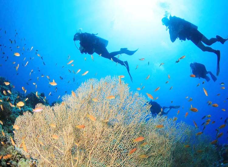 Scuba Diving
