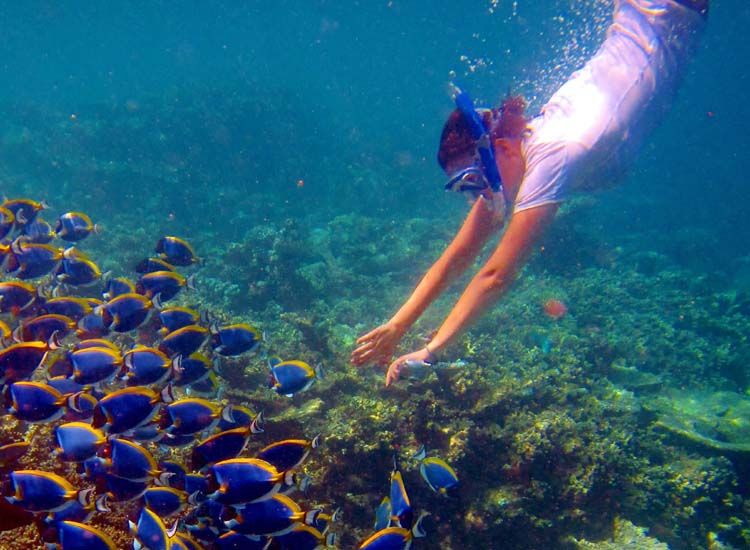 Snorkeling