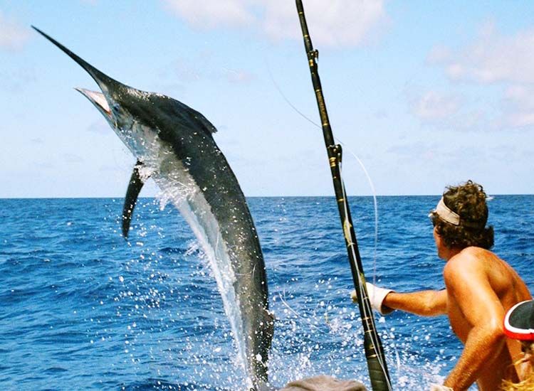 Big Game Fishing