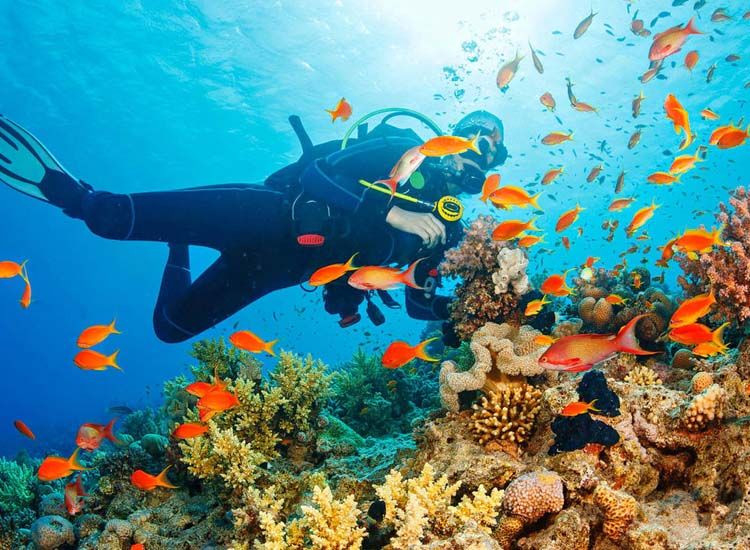 Andaman - Best Places to Visit in February in India with Family