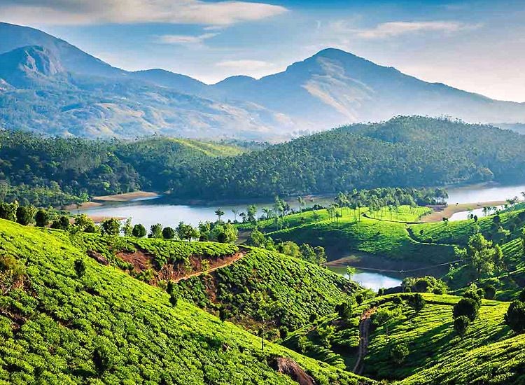 Munnar, Kerala