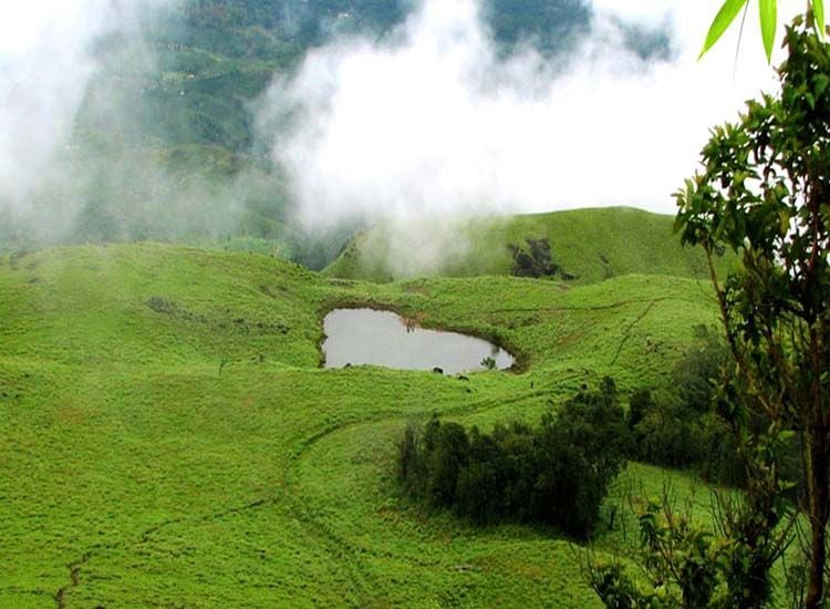Honeymoon Places in India - Wayanad