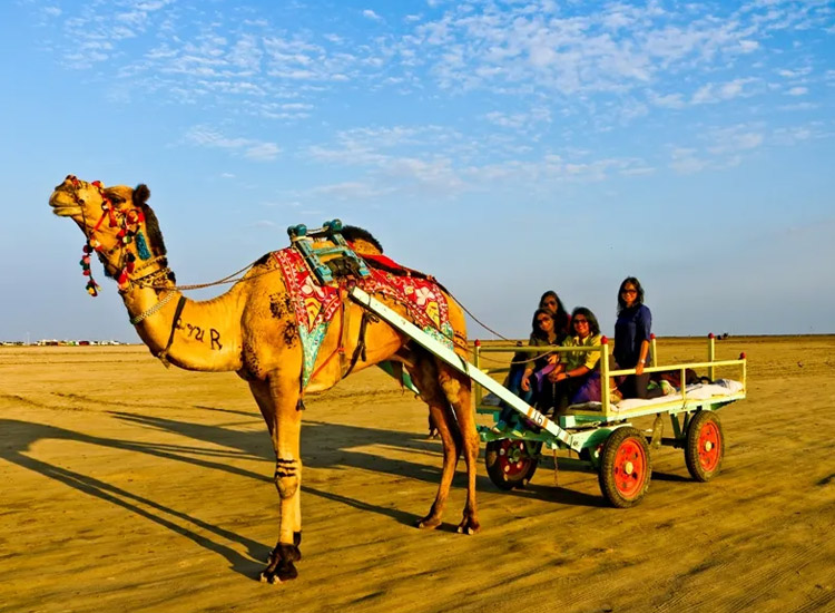 Experience-the-White-Rann-of-Kutch