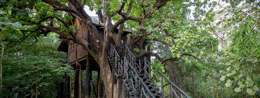 10 Family Friendly Resorts in India that you should be Visiting Right Now!
