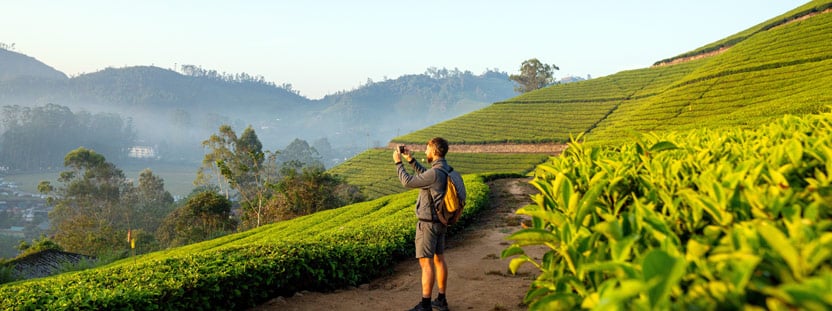 Things-to-Do-in-Kerala