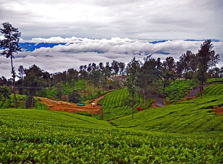 Best Places to Visit in India in September 2026