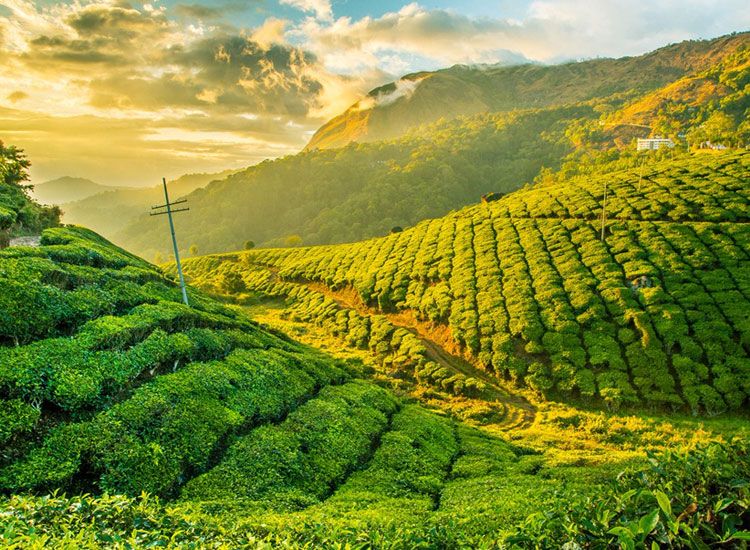 Best Places to Visit in India in September 2026