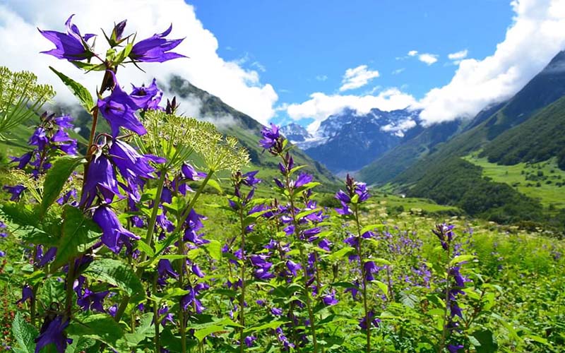 Best Places to Visit in India in September 2026