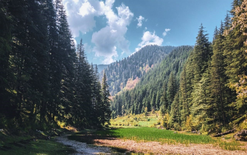 Kuppar Bugyal Trek 