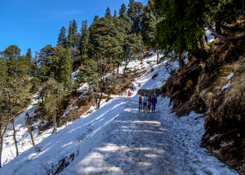  Narkanda Hatu Peak