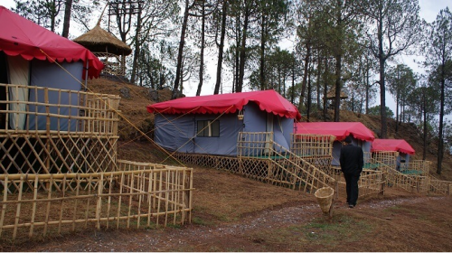 camping in Kasauli