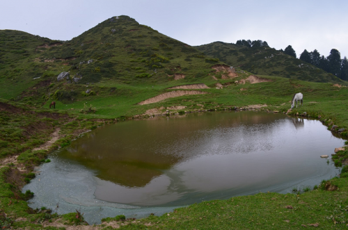 Chakrata Trek