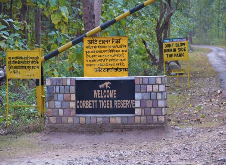 Corbett Tiger Reserve Reopens after 3 months