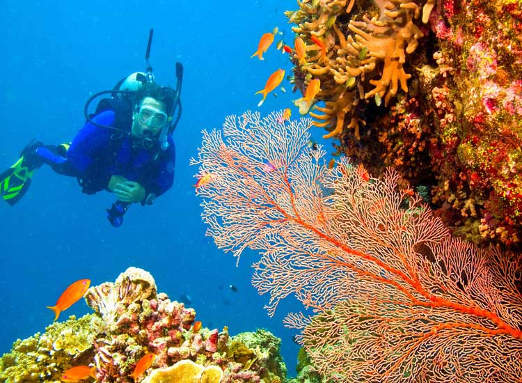 The Best Travel Experiences and Things to do in India
