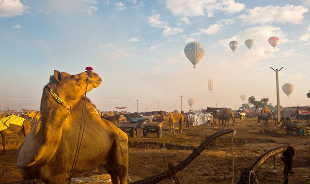 The Best Travel Experiences and Things to do in India