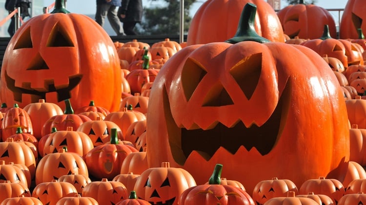 Celebrate Halloween In India