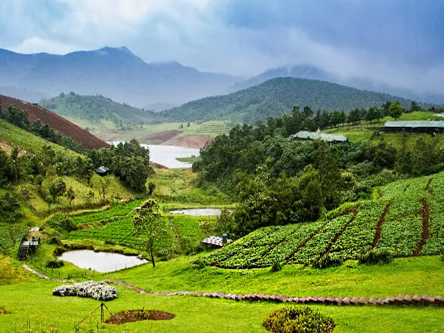 Ooty