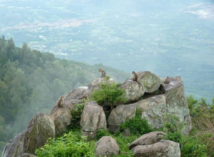 Tipperary View Point