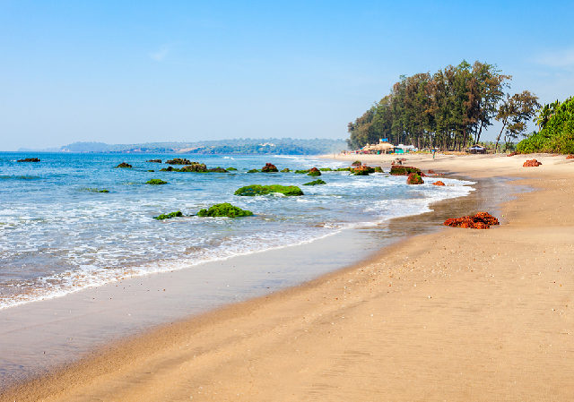 Candolim Beach goa
