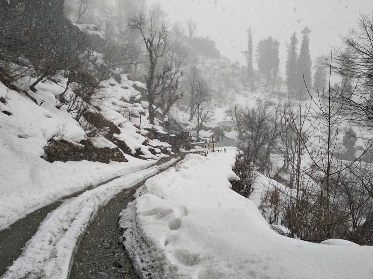 Chandigarh to Kasol Road Trip