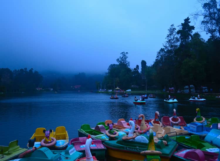 Kodaikanal Lake