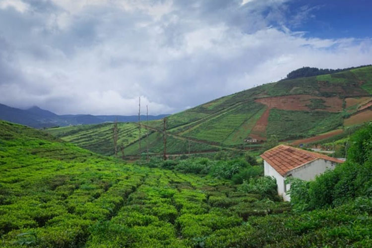 Coorg Hill Station in Karnataka