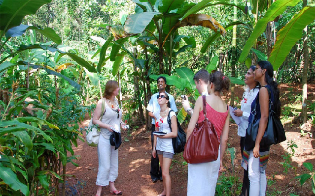 Goa Spice Plantation