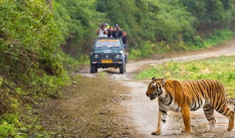 Jim Corbett, Uttarakhand