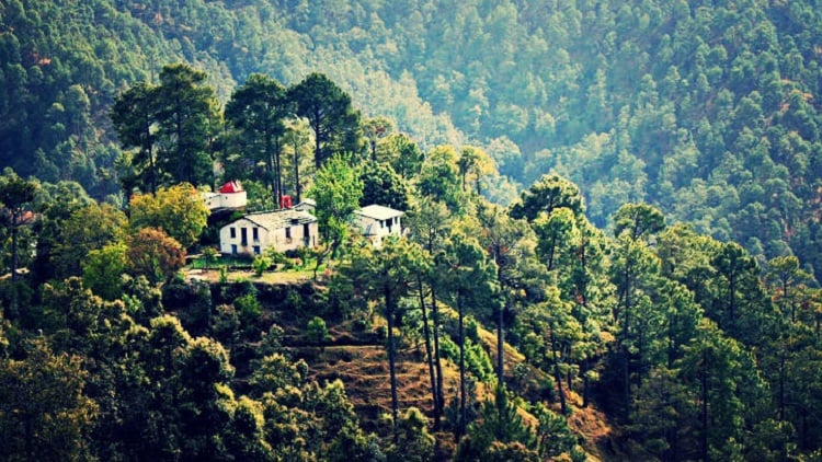 Binsar, Uttarakhand