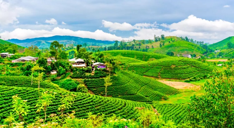 Best-Places-to-Visit-Near-Kolkata-in-April-taki-Darjeeling