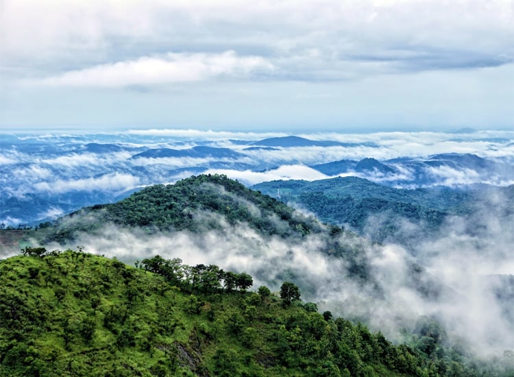 Wayanad Hill Station Near Bangalore