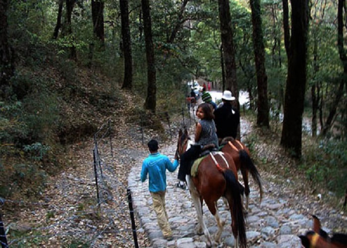 horse ride in chakrata