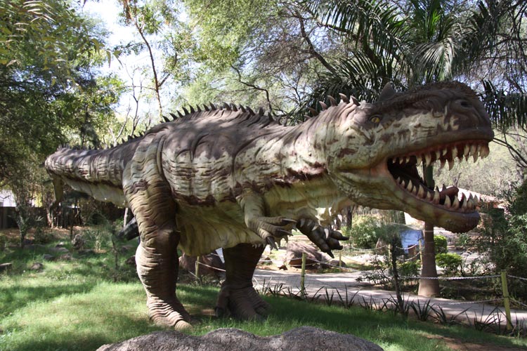 Indroda Nature and Dinosaur Fossil Park