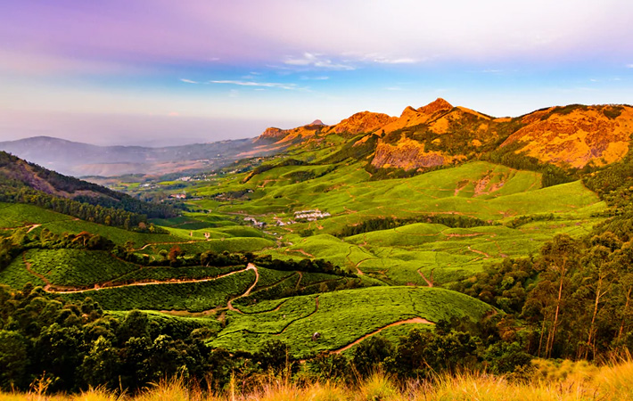 places-to-visit-near-chennai-munnar
