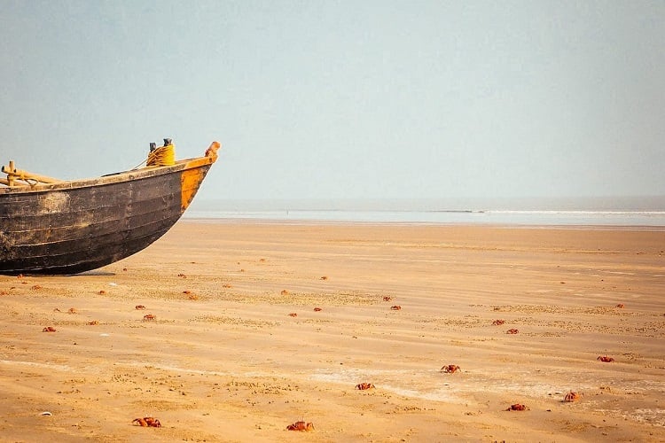 Mandarmani Beach