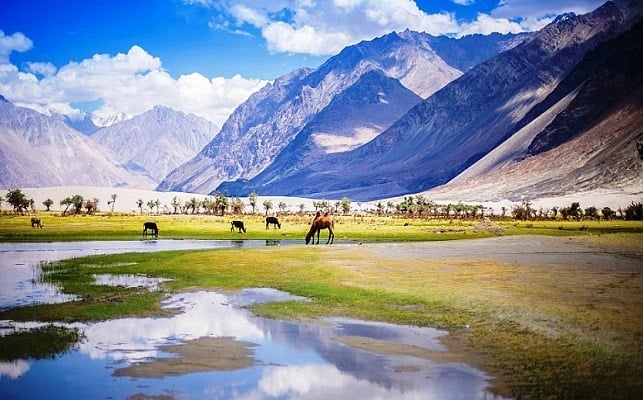 Nubra valley