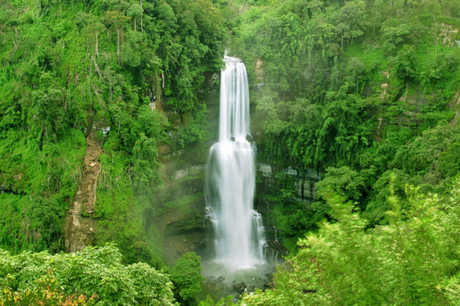 one-day-trip-munnar-attukad-waterfalls
