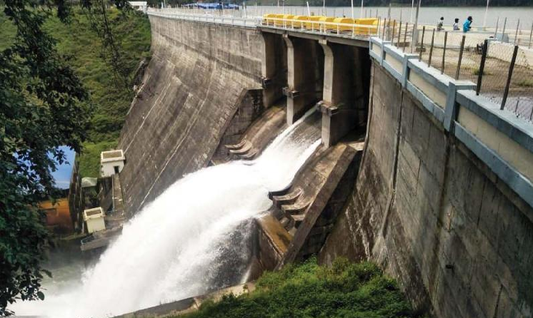 one-day-trip-munnar-mattupetty-dam
