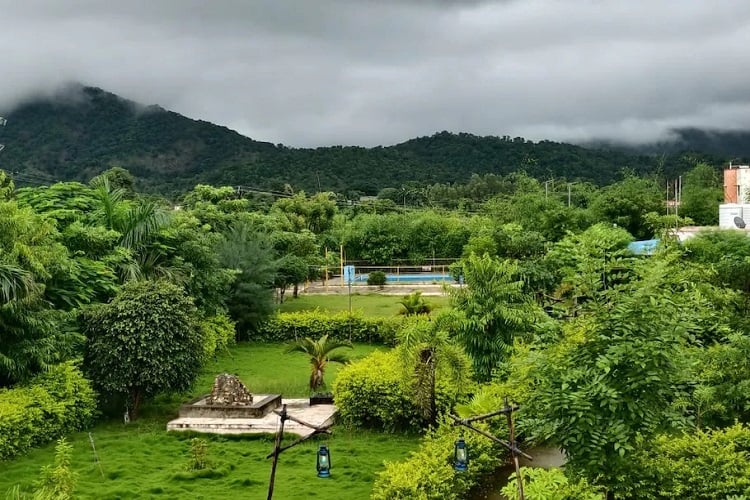 Polo Forest