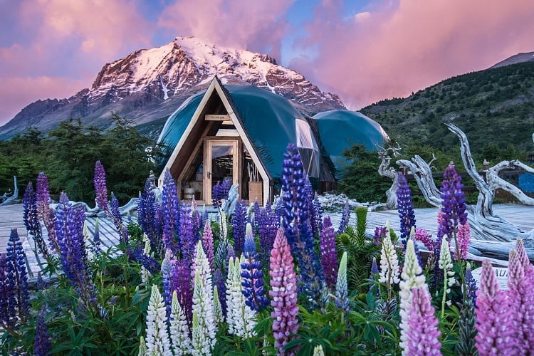 Torres del Paine National Park, Patagonia, Chile