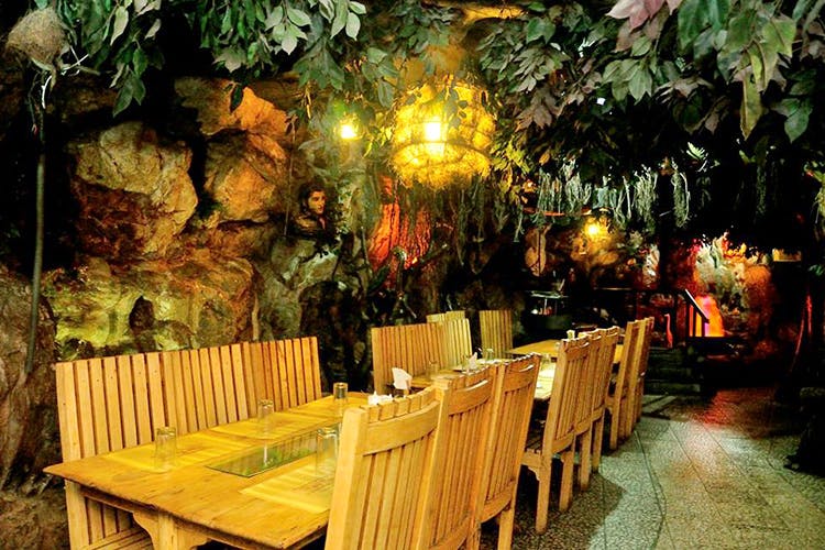 Rain Forest in Chennai
